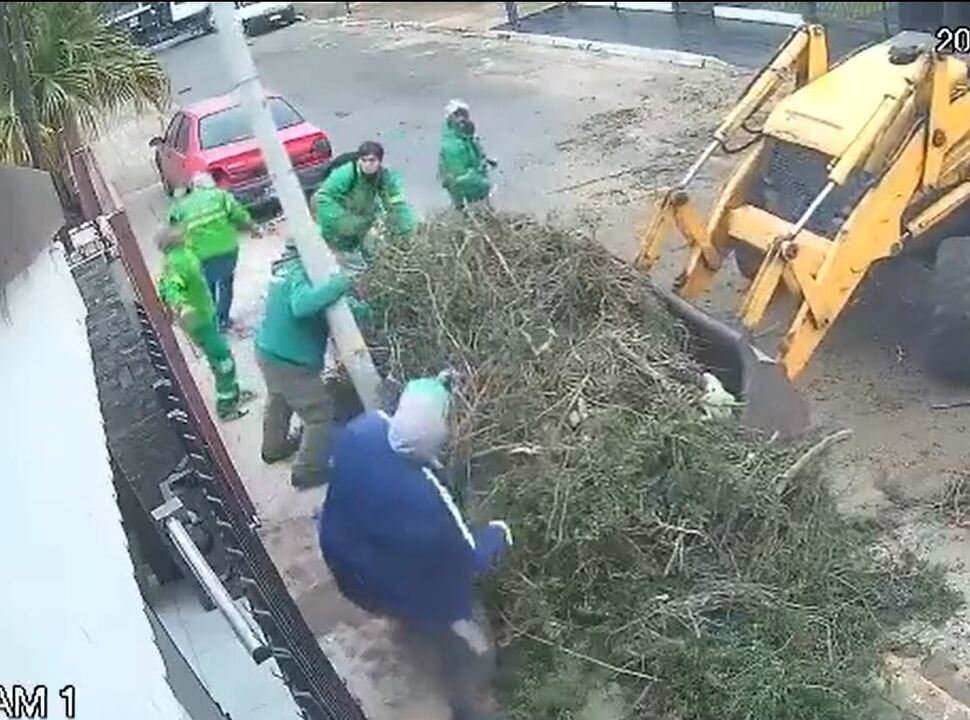 VIDEO | Ocho empleados municipales para juntar ramas: terminaron con un poste de luz en la mano