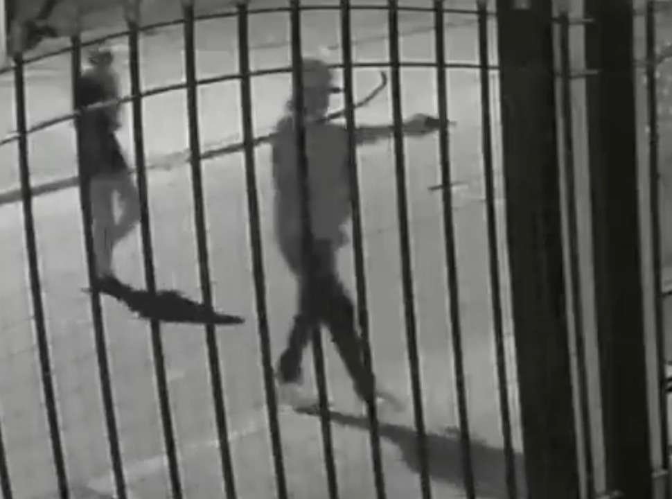 VIDEO | Mariano Acosta: una mujer ahuyentó a carterazos a dos delincuentes armados