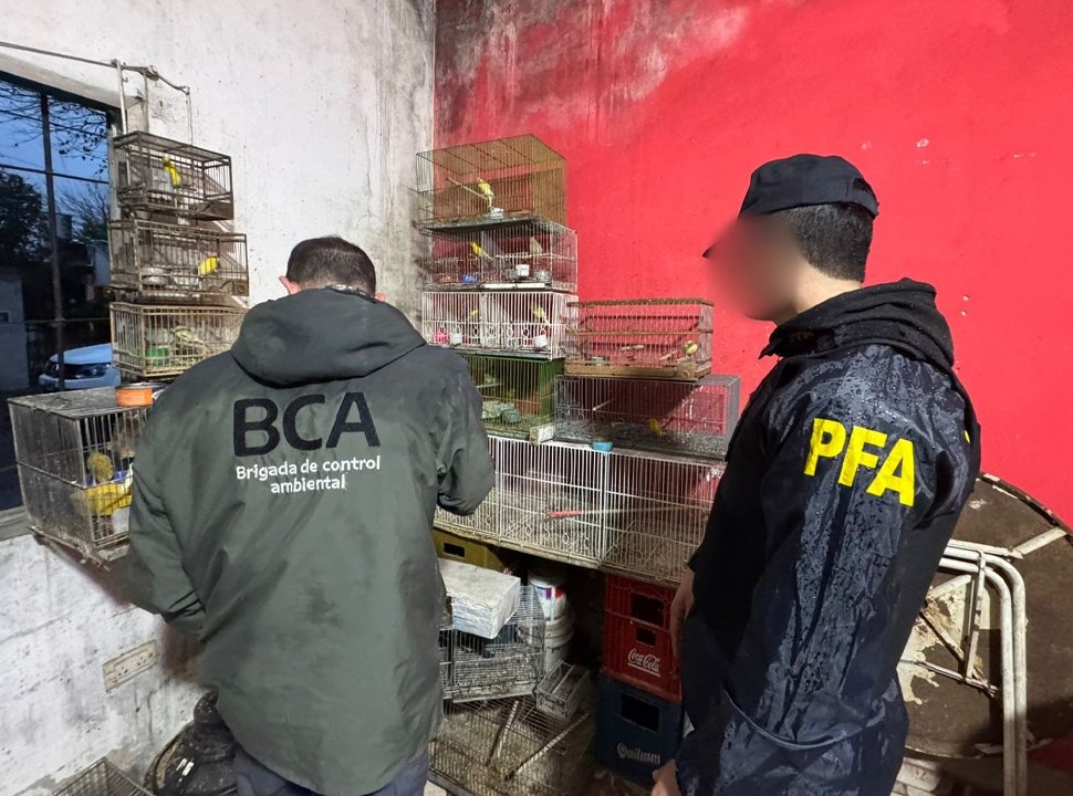 La Matanza: rescatan aves exóticas en cautiverio de una vivienda de Ciudad Evita