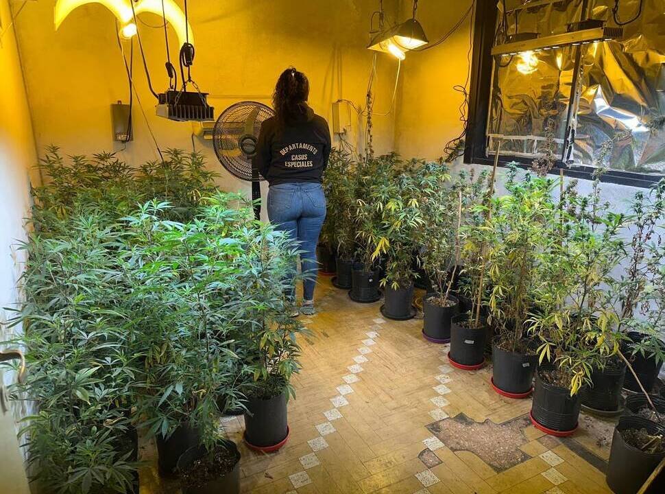 Una investigación por narcomenudeo terminó con tres puntos allanados entre Tres de Febrero y La Matanza