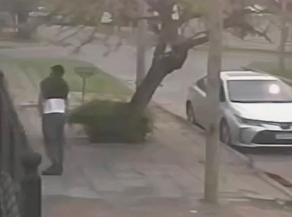 VIDEO | Ramos Mejía: salió 15 minutos y cuando volvió encontró la casa sin luz